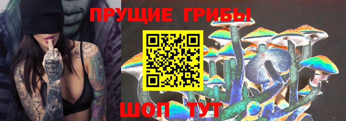 Псилоцибиновые грибы мухоморы Донской