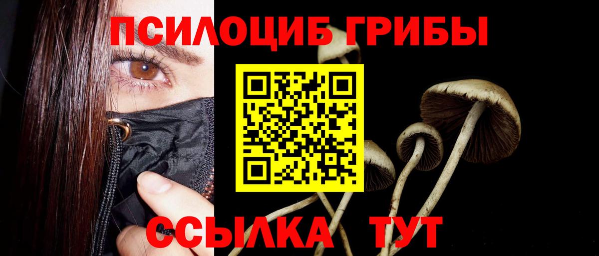 Донской  Галлюциногенные грибы Psilocybe  Вход с VPN 